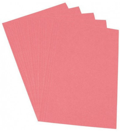 CARPETA CARATULA A4 170G ROSA