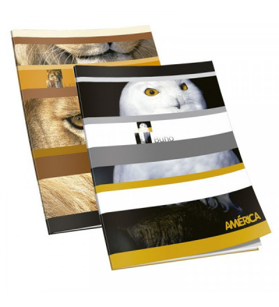 CUADERNO AMERICA TAPA FLEXIBLE 48 HOJAS LISO