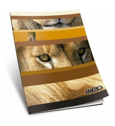 CUADERNO AMERICA TAPA FLEX 48 H CUADRICULADO