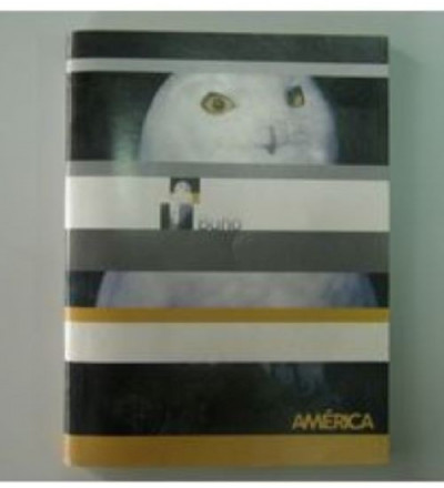 CUADERNO AMERICA TAPA FLEXIBLE 86 HOJAS RAYADO
