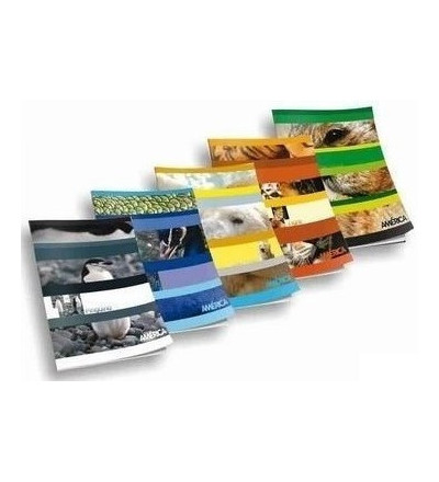 CUADERNO AMERICA TAPA FLEXIBLE 48 HOJAS RAYADO