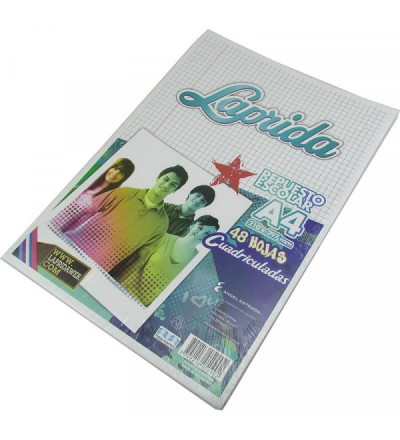 REPUESTO LAPRIDA A4 48 HOJAS CUADRO