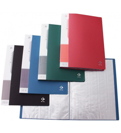 CARPETA A4 CON 10 FOLIOS THE PEL