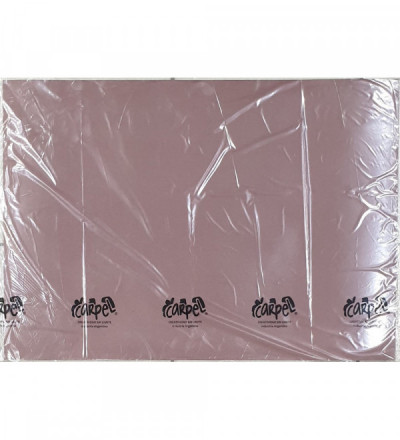 CARTULINA X 10 U MARRON