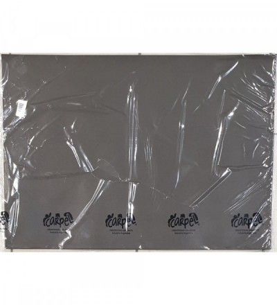 CARTULINA X 10 U NEGRO