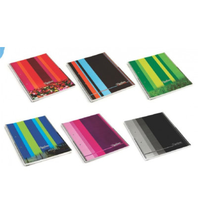 CUADERNO TRIUNFANTE 29X7 80H CUADRICULADO BANDAS