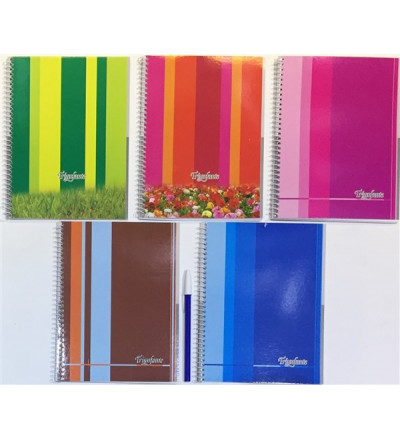 CUADERNO TRIUNFANTE 16X21 40H CUADRO