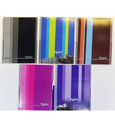 CUADERNO TRIUNFANTE 16X21 40H RAYA