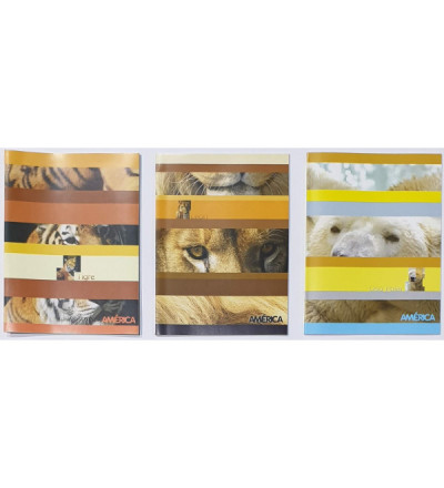 CUADERNO AMERICA TAPA FLEXIBLE 24 HOJAS LISO
