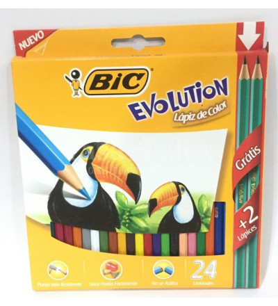 LAP COLOR BIC EVOLUTION X 24