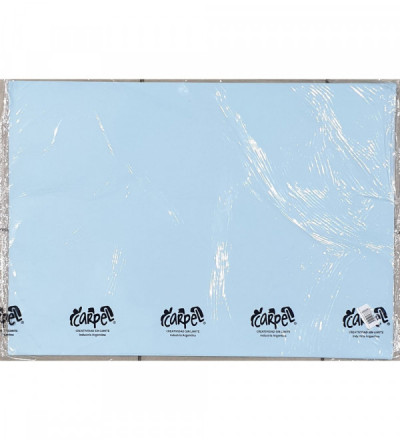 CARTULINA X 10 UNIDADES PASTEL CELESTE