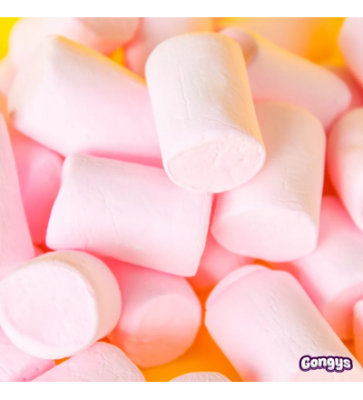 MALV GONGYS 28G FRUTILLA *C/U